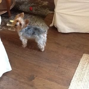 Meet your Posher, Becky